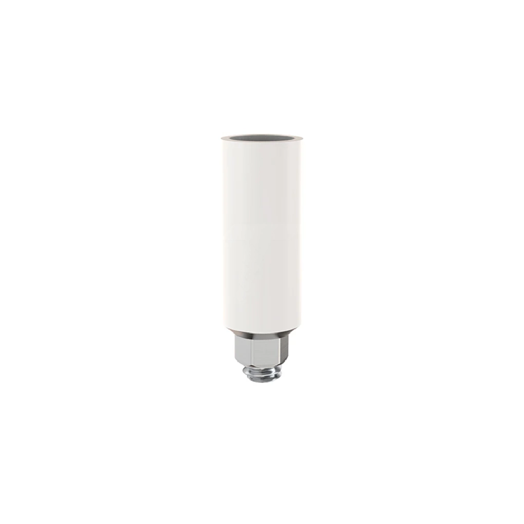 custom-plastic-abutment-on-titanium-base-pta  